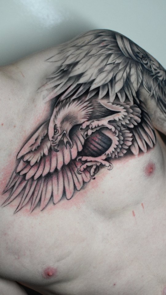 Black and grey eagle across a chest